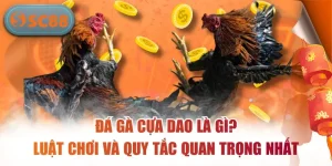 Đá Gà Cựa Dao Là Gì? Luật Chơi Và Quy Tắc Quan Trọng Nhất